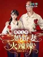 重生70嫁二婚、首长