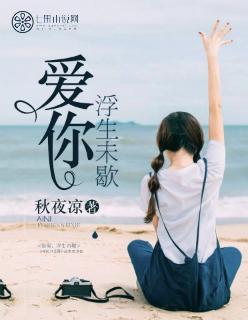 浮生未歇歌词意思