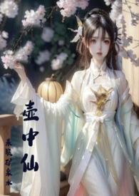 壶中是什么意思