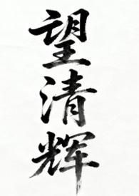 望清(北京)科技有限公司