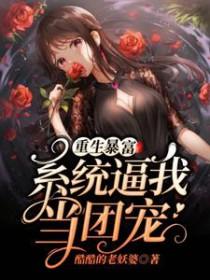 暴富系统一口气看完